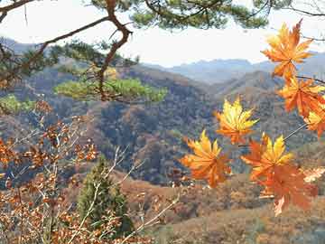 济源关于打胎药去药店买多少钱的信息